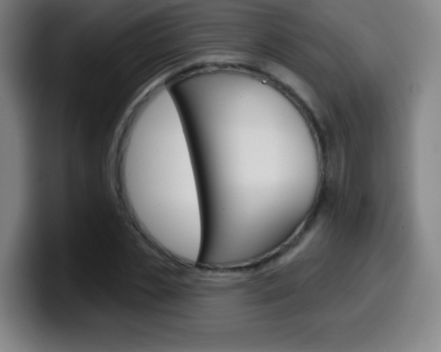 X0000099520829200805151031