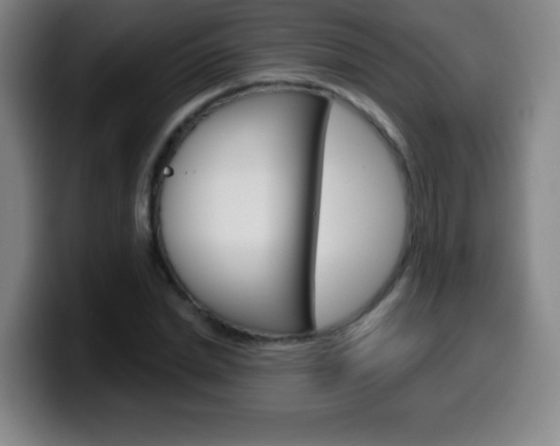 X0000099520830200805151031