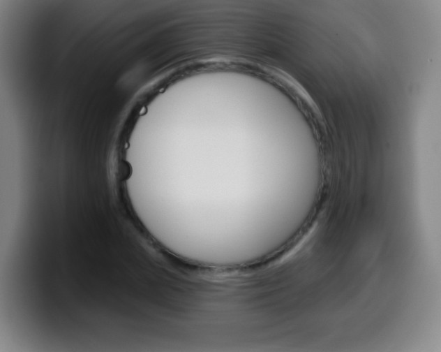 X0000099520831200805151031