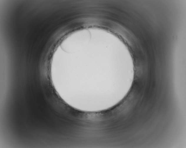 X0000099520832200805151031