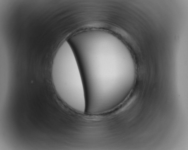 X0000099520833200805151031