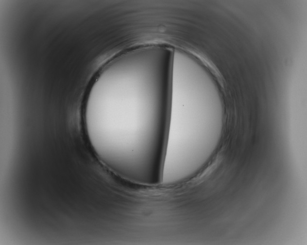 X0000099520834200805151031