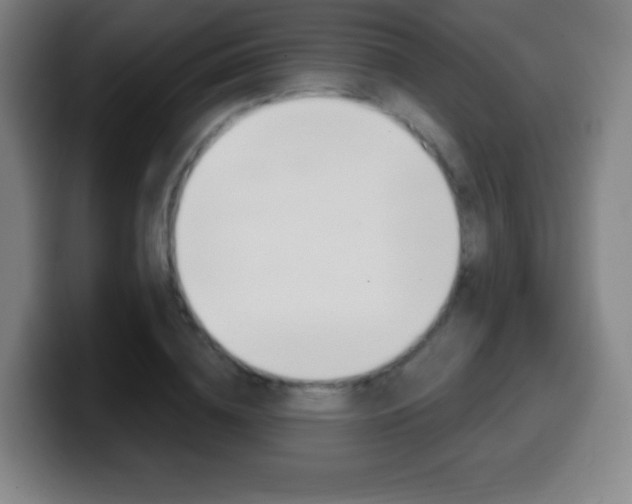 X0000099520836200805151031