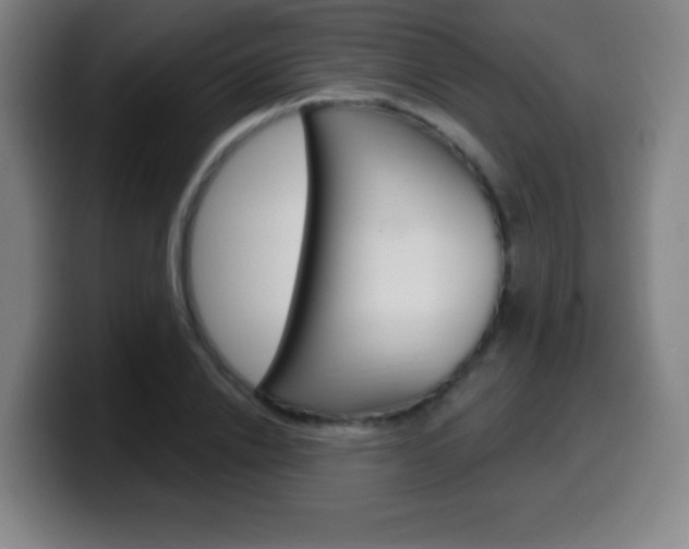 X0000099520838200805151031