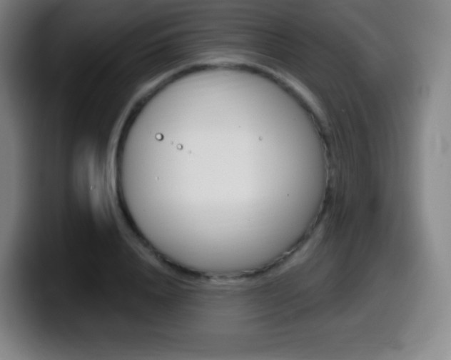 X0000099520840200805151031