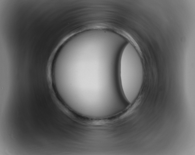 X0000099520843200805151031