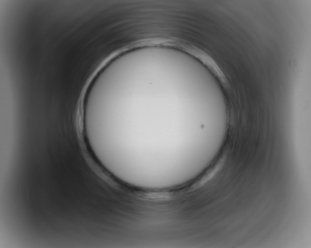 X0000099520844200805151031