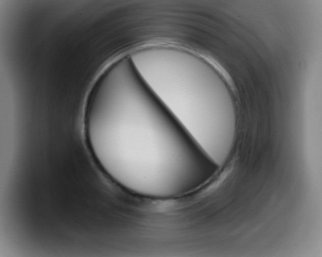 X0000099520845200805151031