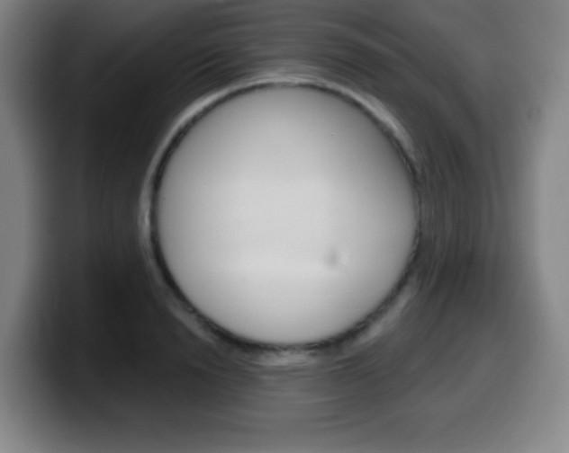 X0000099520846200805151031