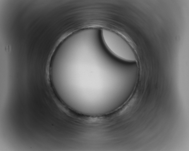 X0000099520850200805151031