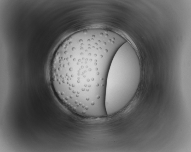 X0000099520851200805151031