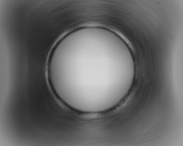 X0000099520853200805151031