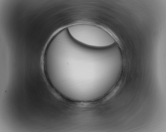 X0000099520854200805151031