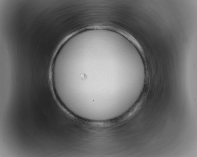 X0000099520855200805151031