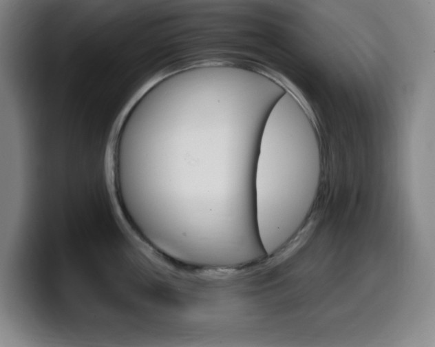 X0000099520859200805151031