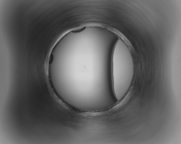 X0000099520860200805151031