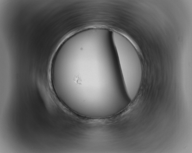 X0000099520861200805151031