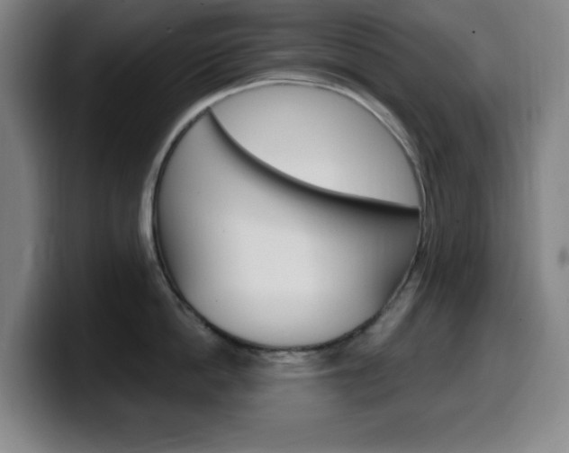 X0000099520862200805151031