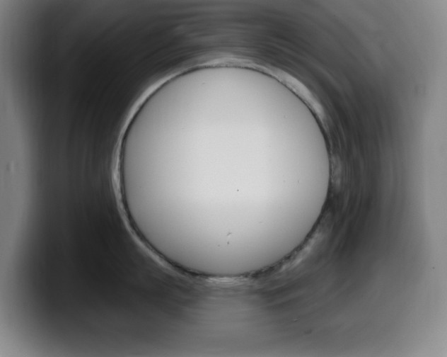 X0000099520863200805151031