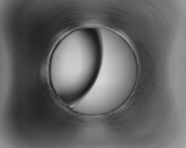 X0000099520864200805151031