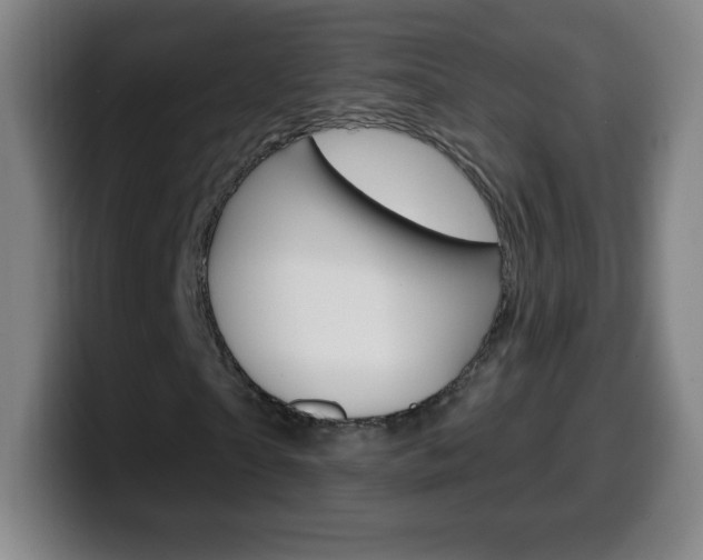 X0000099520865200805151030