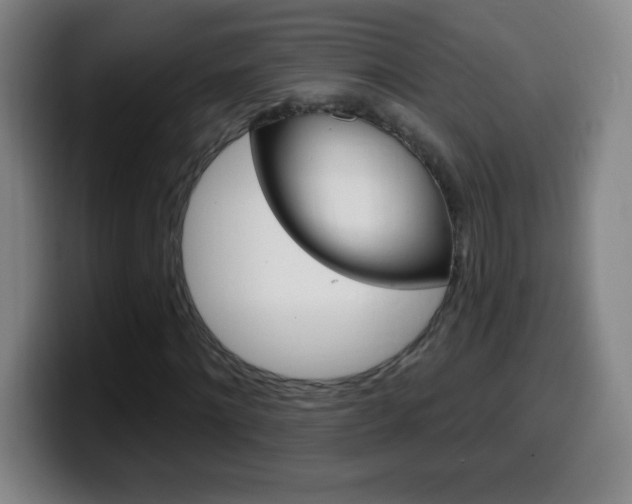 X0000099520868200805151030