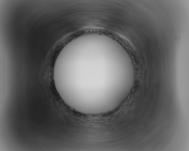 X0000099520870200805151030
