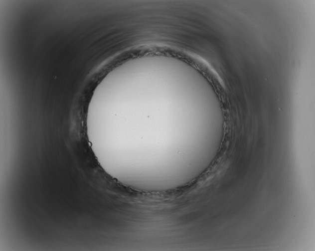 X0000099520871200805151030