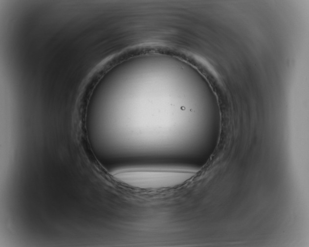 X0000099520872200805151030