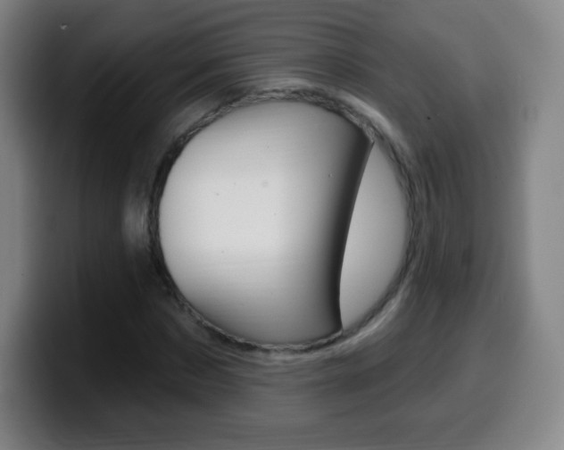 X0000099520873200805151030
