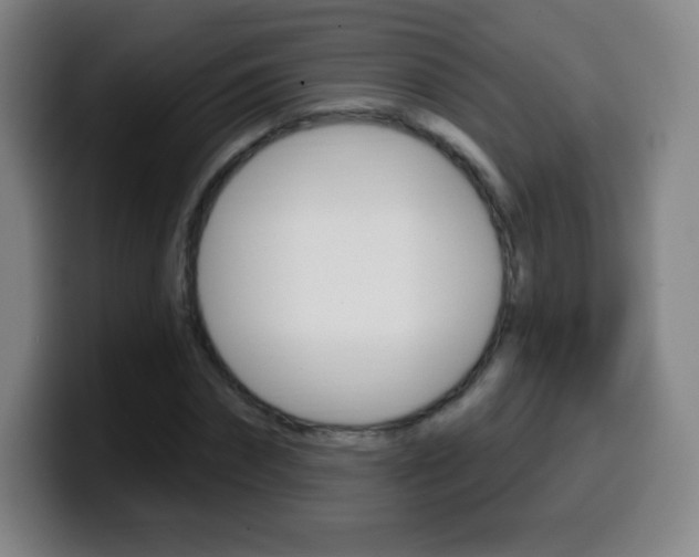 X0000099520874200805151030