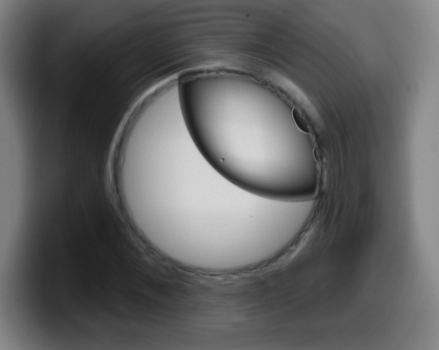 X0000099520876200805151030