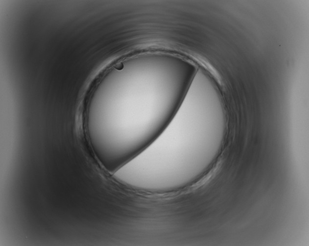 X0000099520877200805151030