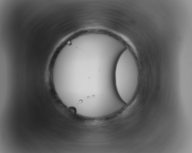 X0000099520879200805151030