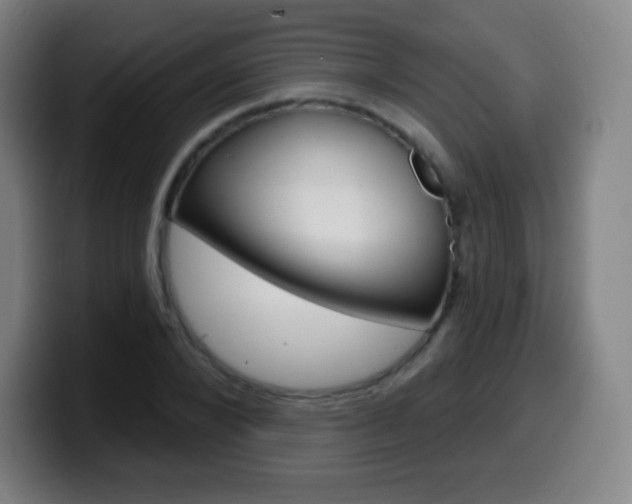 X0000099520880200805151030