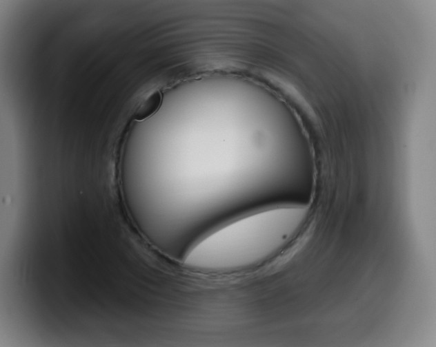 X0000099520881200805151030