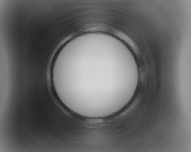 X0000099520882200805151030