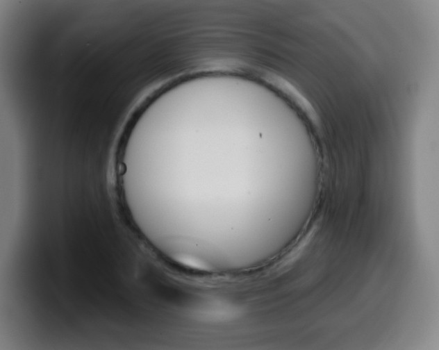 X0000099520883200805151030