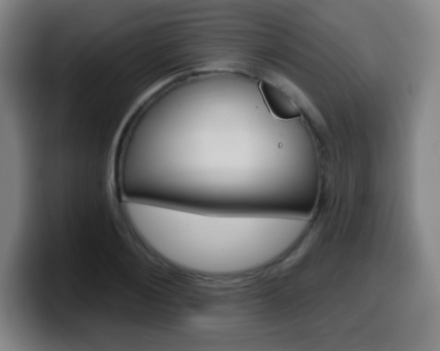 X0000099520884200805151030