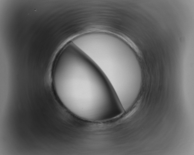 X0000099520885200805151030