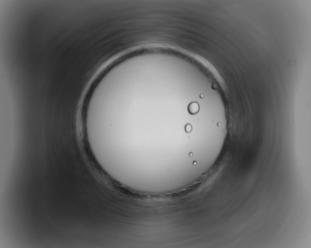 X0000099520887200805151030