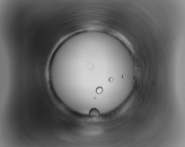 X0000099520891200805151030