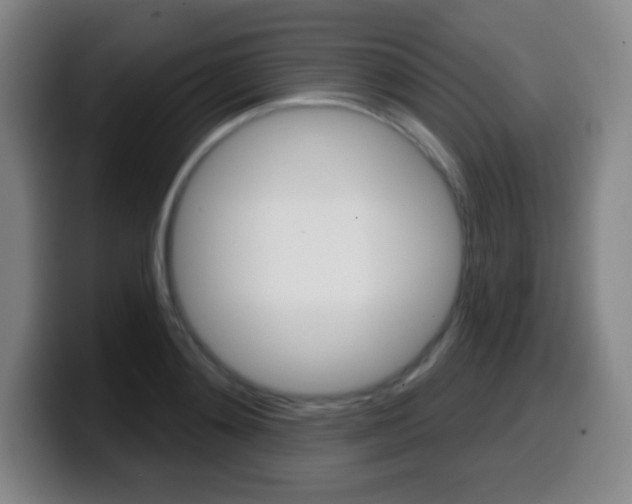 X0000099520892200805151030