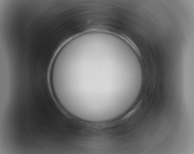 X0000099520893200805151030