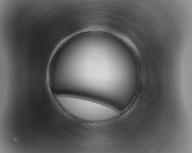 X0000099520896200805151030