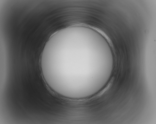 X0000099520897200805151030