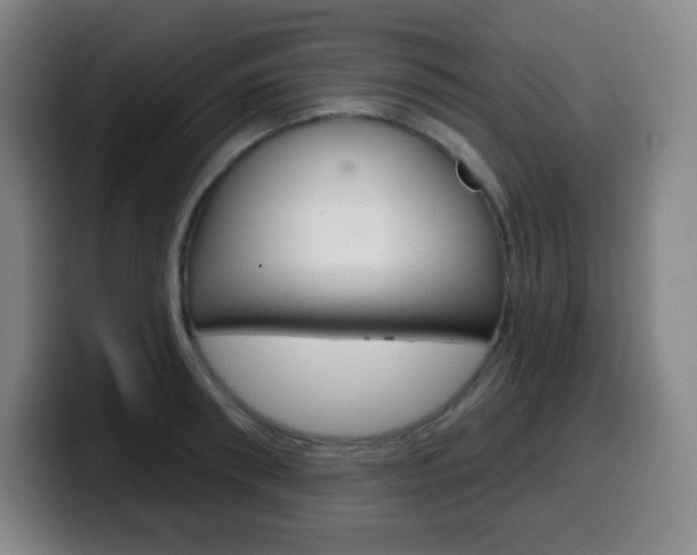 X0000099520898200805151030