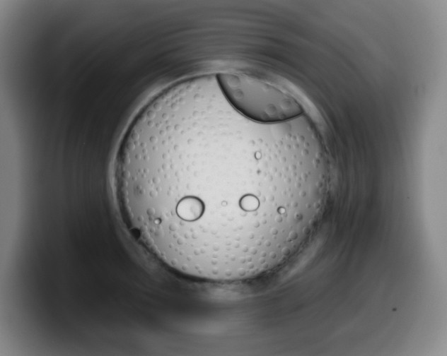 X0000099520899200805151030
