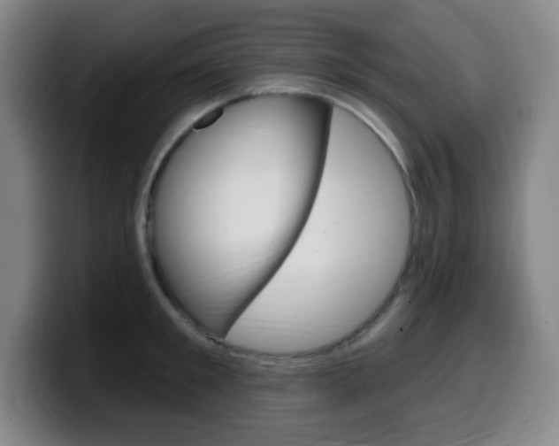 X0000099520901200805151030