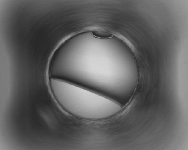 X0000099520902200805151030